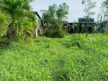 Đất tại ấp Dương Quới xã Phước Trung - GCĐ - TG