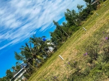 Đất mặt tiền đường nhựa Ấp Nghĩa Chí. Xã Phước Trung. Huyện Gò Công Đông