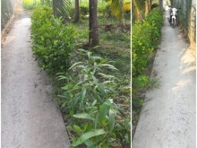 Đất nền đẹp đang trồng dừa giá mềm 2 mặt tiền ấp 4 Tân Phước