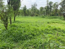 Bán 600mv đất Dương Hòa, Phước Trung, Gò Công Đông