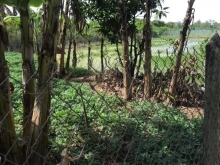 Đất đã có san nền cao ráo, có hàng rào xung quanh vạn thành - xã bình nghị