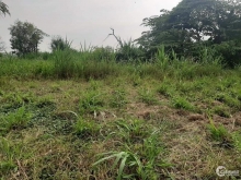 Đất  giá  rẻ  mặt  tiền đá xanh  2,5 m  Bình ÂN, Gò CônG đÔNG