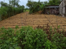 Chính chủ gửi bán lô đất mặt tiền đường 4m Phú Quới, Yên Luông, Gò Công Tây