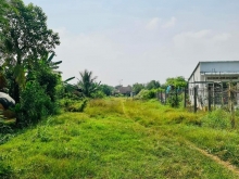 Đất bán Xóm Thủ, Bình Tân, Gò Công Tây giá hấp dẫn