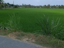 Cần bán gấp trước tết.Đất 2 mặt tiền ấp Thới An Long Vĩnh, Gò Công Tây