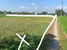 Đất bán tại Gần ngã 4 Yên Luông. Bình Nhựt- Thành Công- GCT