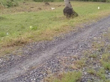 Bán đất nền ở long bình huyện gò Công Tây tiền Giang