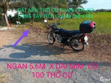 Ngang 5,6m x dài 56m có 100 thổ .ấp thạnh Phú xã thạnh trị gò Công Tây
