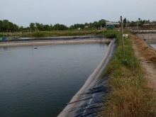 Cần bán 8000mv đất đầm đang nuôi tôm ấp 3, xã Bình Xuân, TX Gò Công, Tiền Giang