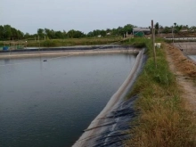 Cần bán 8000mv đất đầm đang nuôi tôm ấp 3, xã Bình Xuân, TX Gò Công, Tiền Giang