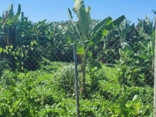 Bán đất mặt tiền đường Trần Công Tường ấp Long Hưng xã Long Chánh thị xã Gò Công