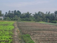 Đất mặt tiền sơn quy A xã Tân Trung. Thị xã Gò Công