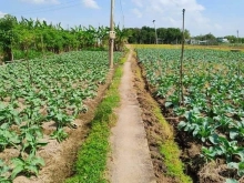 Có 2 lô liền kề, Ấp Giồng Cát, xã Long Hòa, Thị xã Gò Công