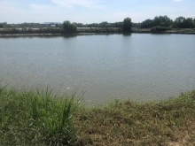 Đất nuôi trồng thủy sản 3,2 mẫu . Đường xe tải cặp sông Gò Công