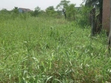 Đất bán Ấp thuận hoà xã Long thuận thị xã gò công