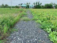 Đất nền cao ráo thoáng mát sạch sẽ Ấp Thuận Hoà Xã Long  Thuận TX Gò Câu