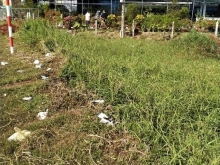 BÁN ĐẤT MẶT TIỀN-Gò Công Tiềng Giang