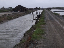 Bán lô đất xã Lý Nhơn huyện Cần Giờ giá tốt