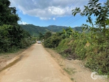 Chính chủ cần bán 3 hecta đất khánh phú khánh vĩnh