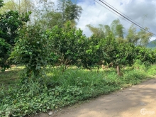 CHỈ 590 triệu - BÁN NHANH VƯỜN BƯỞI VEN SUỐI - ĐƯỜNG Ô TÔ - CÁCH QL27C 4KM