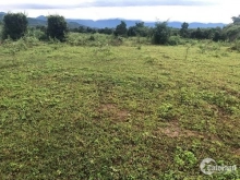 Bán Nhanh Mảnh Đất 1000m2 Tại Thôn Đông Sông Cầu, Khánh Vĩnh Khánh Hòa