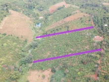 SỔ VUÔNG VỨC- GIÁP SUỐI CHẢY- VIEW THUNG LŨNG VỚI GIÁ CHỈ 58tr/1.000m2