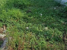 Cần bán nền lộc hòa .long hồ vĩnh long. Đường đình thần an hiệp