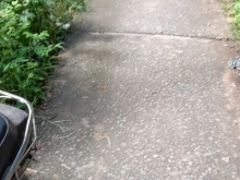 2 LÔ ĐẤT THỔ - ĐỐI DIỆN CÂY XĂNG HỒNG DUYÊN