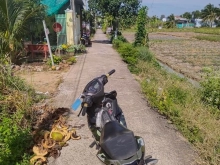 Bán nền chèo bẻo phong đi vô 5x25 129.5m2