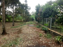 Bán vườn Xuân Lập, Long Khánh, Đồng Nai. 10,423m – 20t