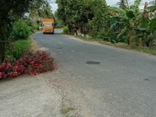 BÁN ĐẤT CÔNG 2 MẶT TIỀN ,VƯỜN MĂNG CỤT LỘ ÔTÔ 8 TẤN