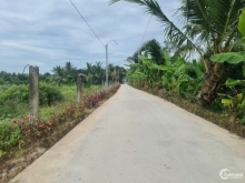 Chỉ 380Tr Có ngay 1.905m2 Đất ruộng. Thuộc Ấp Mỹ Phú, Xã Mỹ Phước, Mang Thít, Vĩ