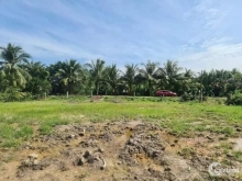 Cần bán gấp ?.???m2 đất vườn lộ nhựa, Có sẵn ????? đất thổ,
