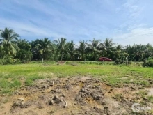 Cần bán gấp ?.???m2 đất vườn lộ nhựa, Có sẵn ????? đất thổ,