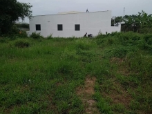 Cần bán 1nen dt 205m2.tho 100 %