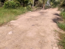 Cần bán gấp 2 công ruộng  mặt tiền lộ đá mi 3m