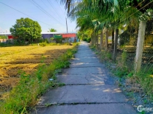 Diện tích: 1000m², có 160m² thổ cư, khoảng (30×33)m²