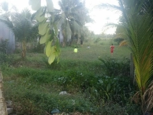 Chính chủ do kẹt tiền cần bán gấp lô đất mặt tiền tỉnh lộ 31B cách lộ 902 150m