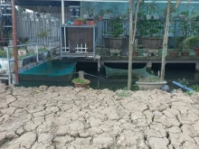 Bán đất ấp phước hòa xã phước thạnh mỹ tho