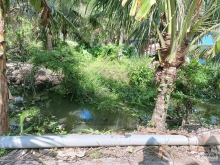 CẦN RA ĐẤT CÔNG 2 MẶT TIỀN ẤP PHƯỚC HÒA , XÃ PHƯỚC THẠNH , MỸ THO