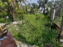 Cần bán gấp đất Bình Tạo- Trung An- TP Mỹ Tho- Tiền Giang