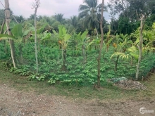 Có miếng ấp đồng trung an ,tp my tho full thổ