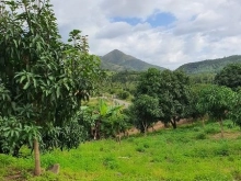 Đất đẹp Vĩnh Lương Nha Trang cho khách đầu tư dài hạn