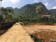 Em có 5 lô đất giá rẻ như cho anh chị đầu tư ở minh thành