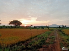 Trang trại hoặc khu nghỉ dưỡng