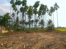 Cần bán đất Thạch Thành, Ninh Quang, Ninh Hòa. Diện tích 868.9 m2 (200 m2 ONT)