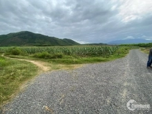 Cần bán một số diện tích đất vườn ( BHK ) thuộc xã Ninh Tây, thị xã Ninh Hòa