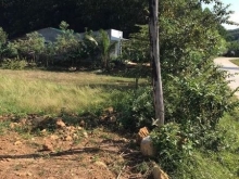 Cần bán đất Buôn Đung - Ninh Tây. Diện tích : 841m2 đã có thổ cư 80m2