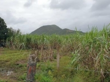 Bán  đất Buông Đung Ninh Tây cách Dt5 và quốc lộ 26 chỉ 800m.