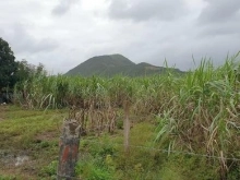 Bán  đất Buông Đung Ninh Tây cách Dt5 và quốc lộ 26 chỉ 800m.
